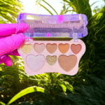 Paleta de Sombra Bobbi Rara