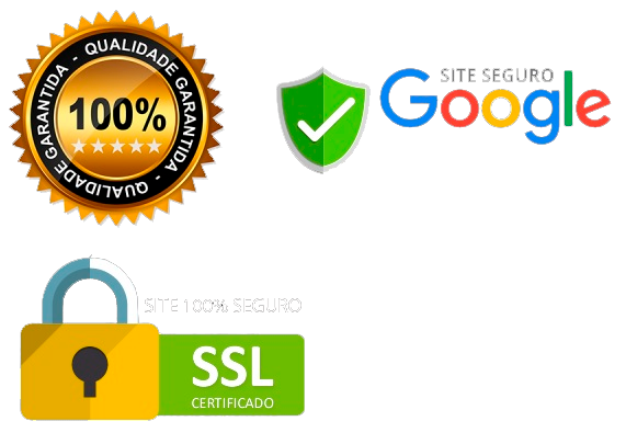 site seguro 2